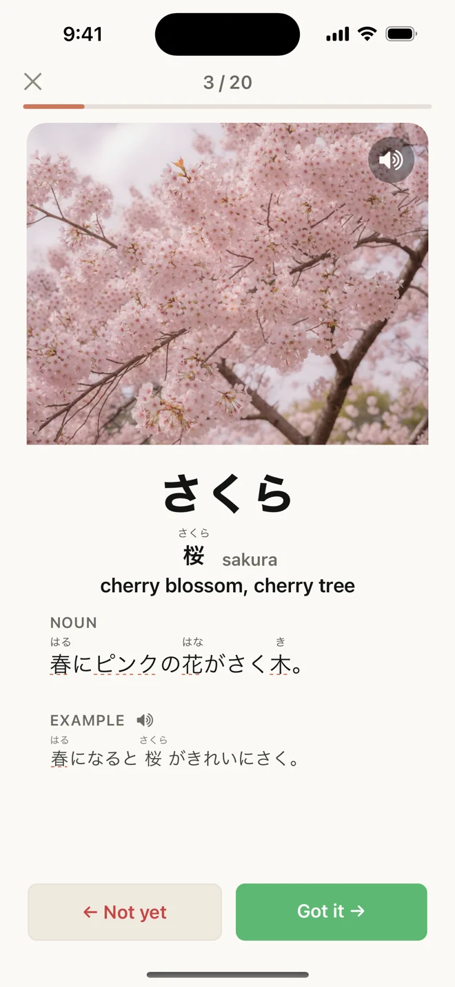 Pictango flashcard for 桜 (sakura, cherry blossom): a real photo of cherry blossoms with the reading, kanji, romaji, English meaning, and a Japanese definition and example sentence.